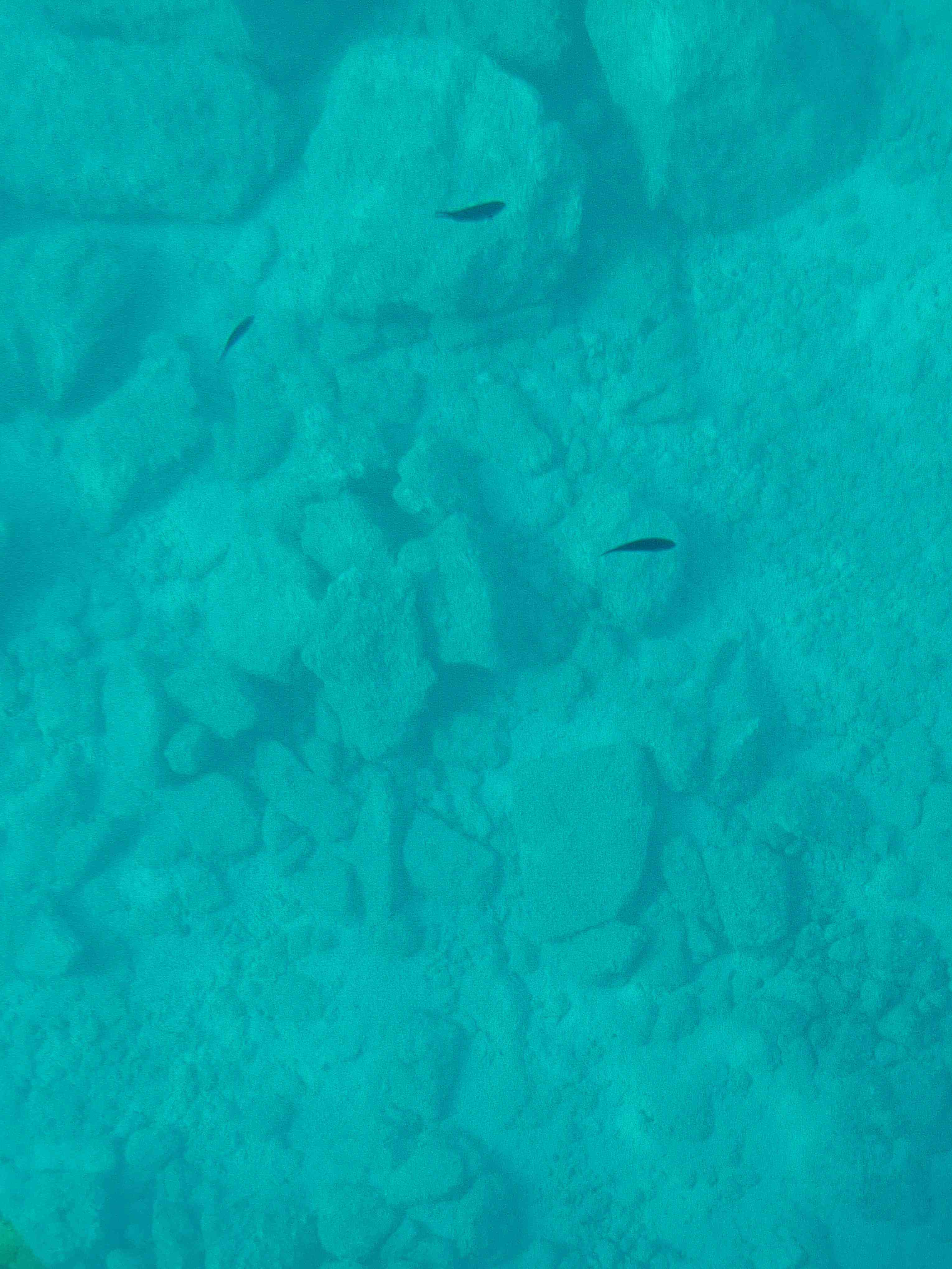 Cyprus Dream Holiday Galéria 37